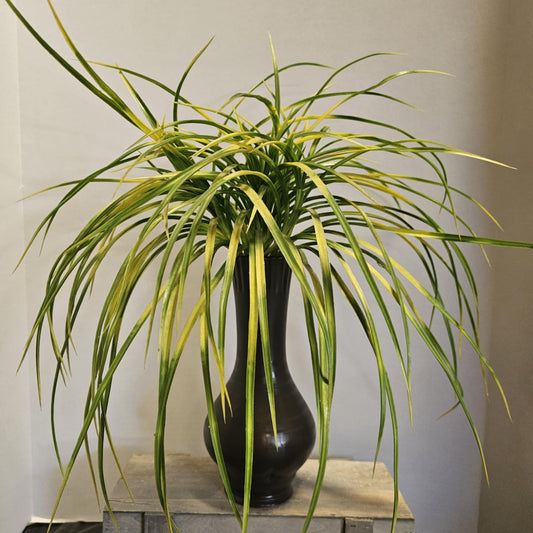 20" Plastic Grass