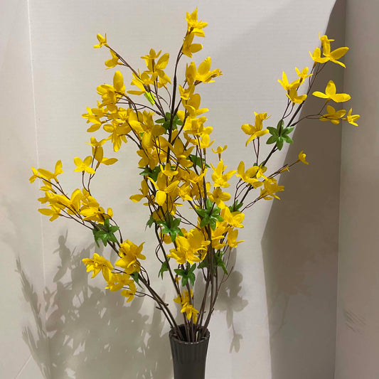 60181YW - Forsythia Bush