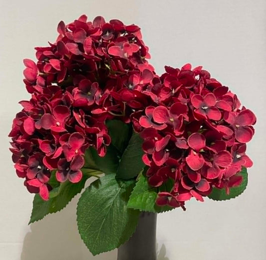 193052-BUR - Hydrangea Bush