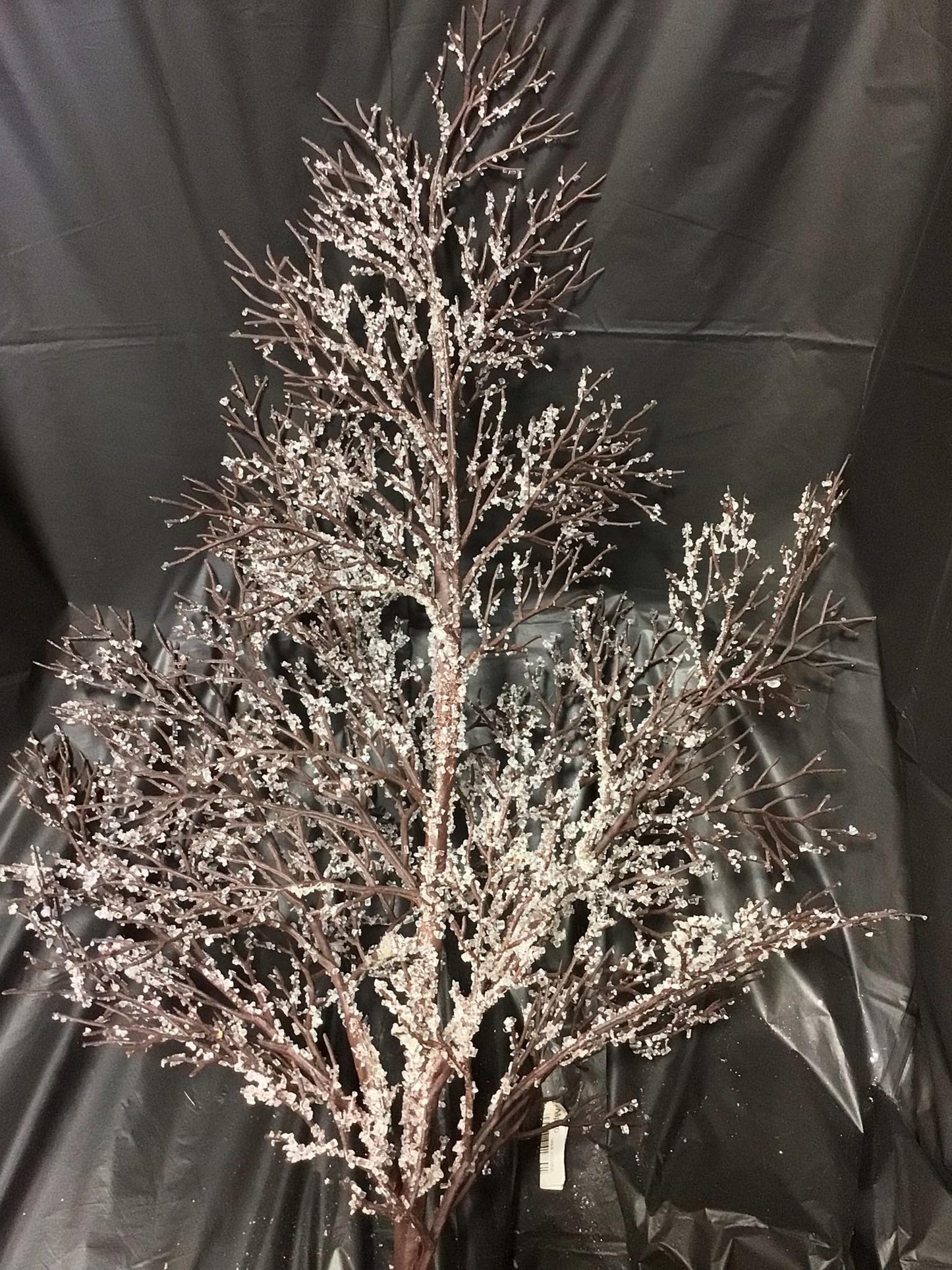 2825232BW - Iced Snow Branch