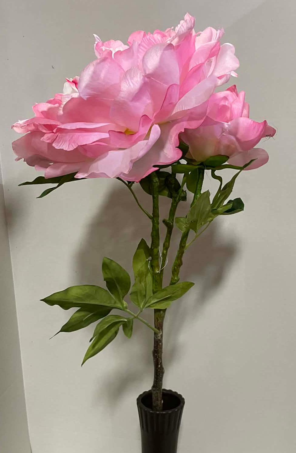 84250-PK - 30" Peony Spray