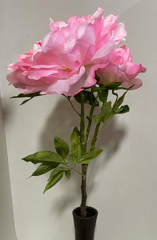 84250-PK - 30" Peony Spray