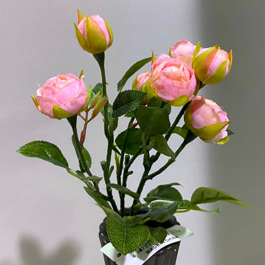 108008PK - 20" Mini Rose Spray