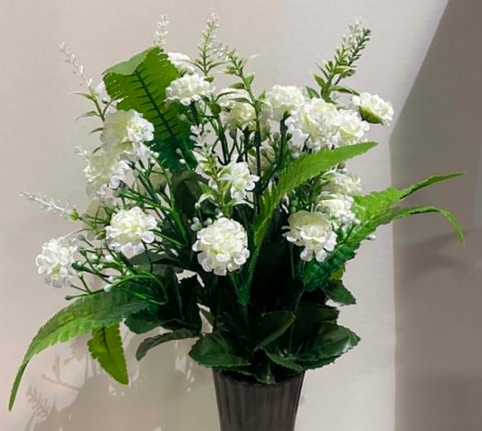 36341-CM - Mini Mum Bush