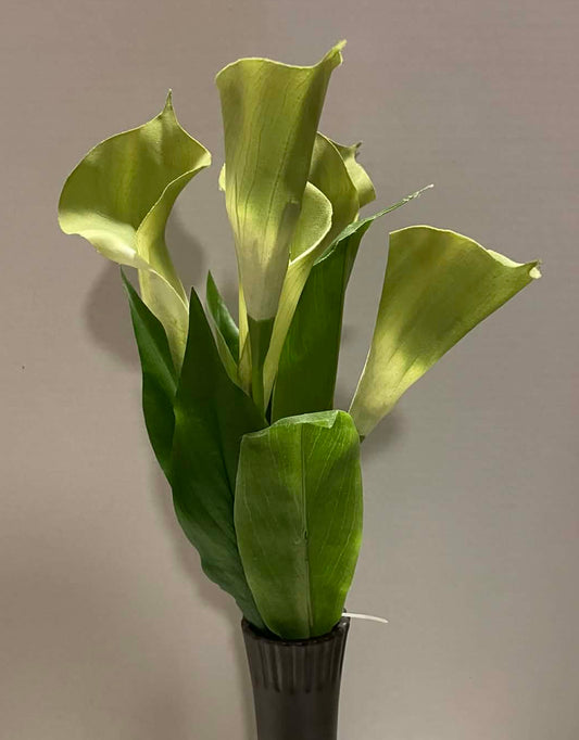 51471-GN - Calla Lily