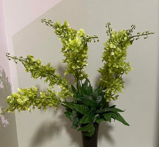 B21408-GRN - Delphinium
