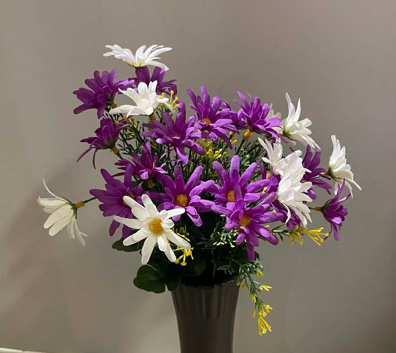 B20500 PUR/CM - Common Daisy