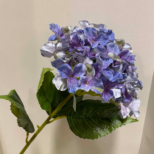 79403-PU - Jumbo Hydrangea
