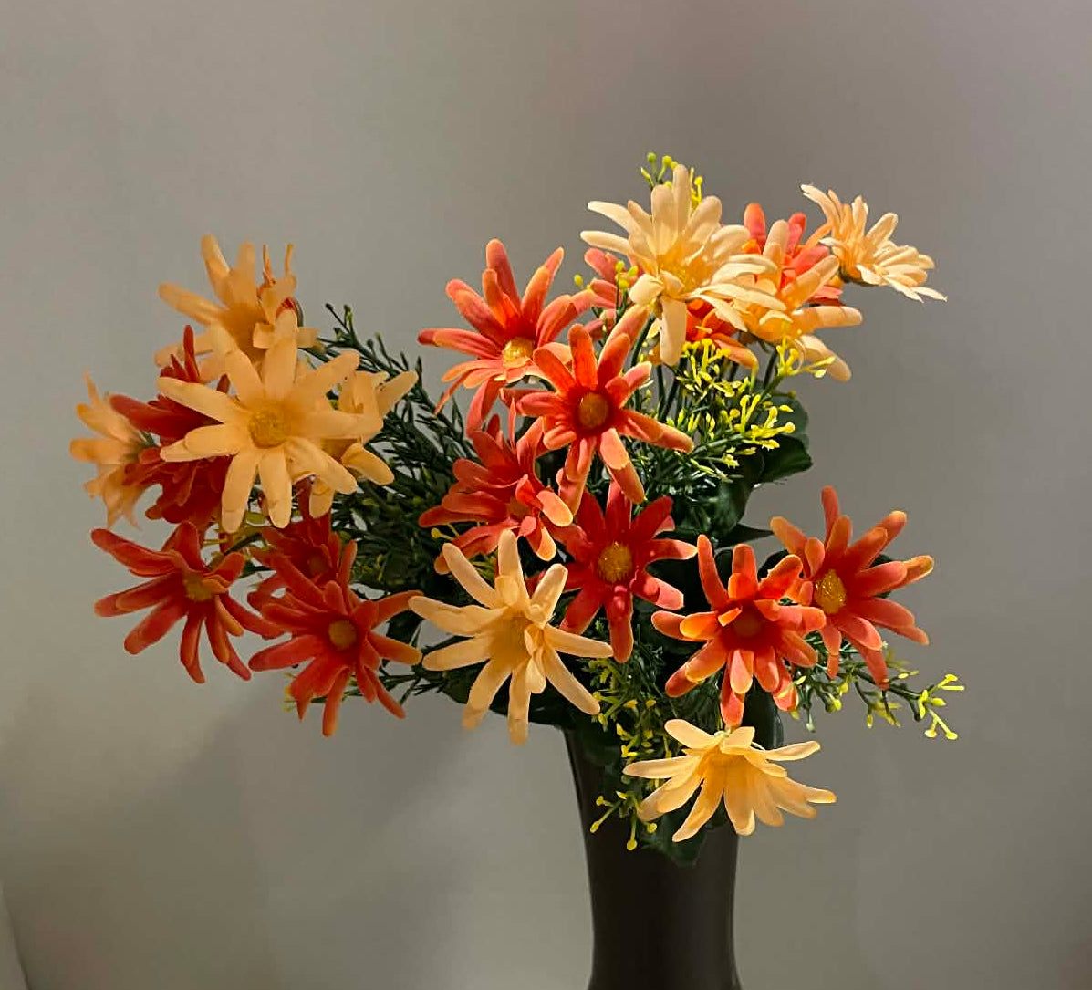 B20500 PH/OR- Common Daisy