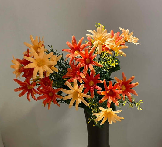 B20500 PH/OR- Common Daisy