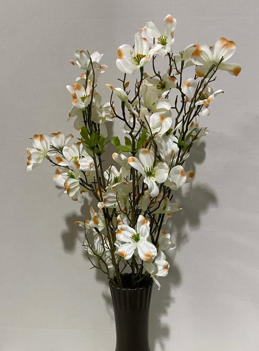 73921-CRM - Dogwood Bush