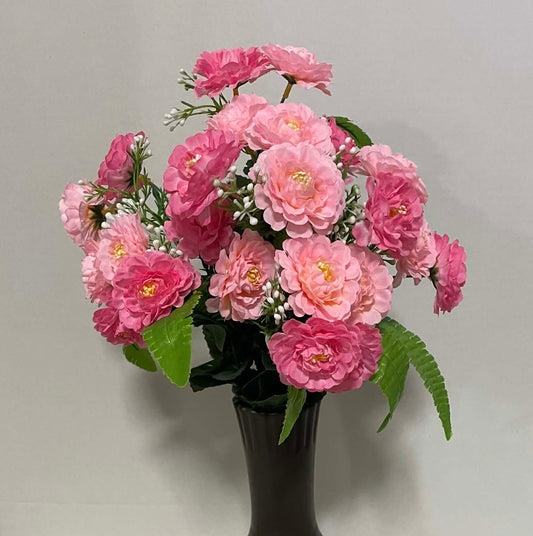 36437-PK - Zinnia Bush