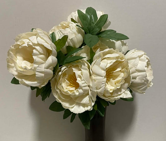B23407-CRM - Peony Bush