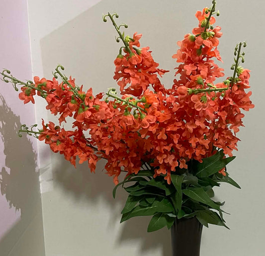 B21408-SAL - Delphinium