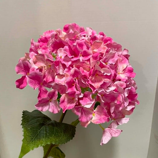 79405-BTY - Jumbo Hydrangea