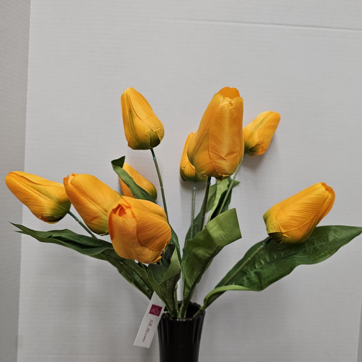 GPB25391-ORANGE - 21" Tulip Bush