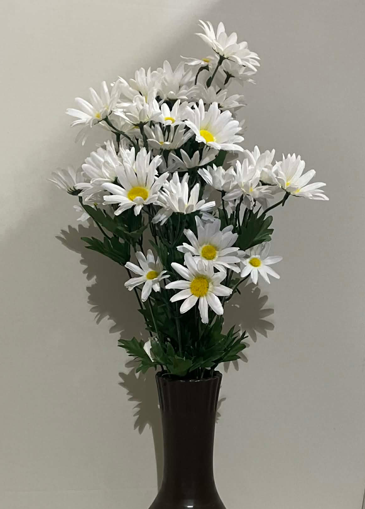 132001-WT - Daisy Bush