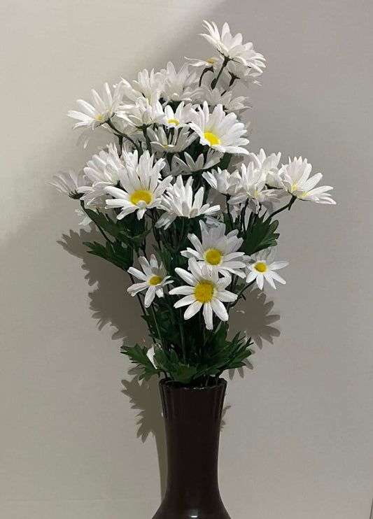 132001-WT - Daisy Bush