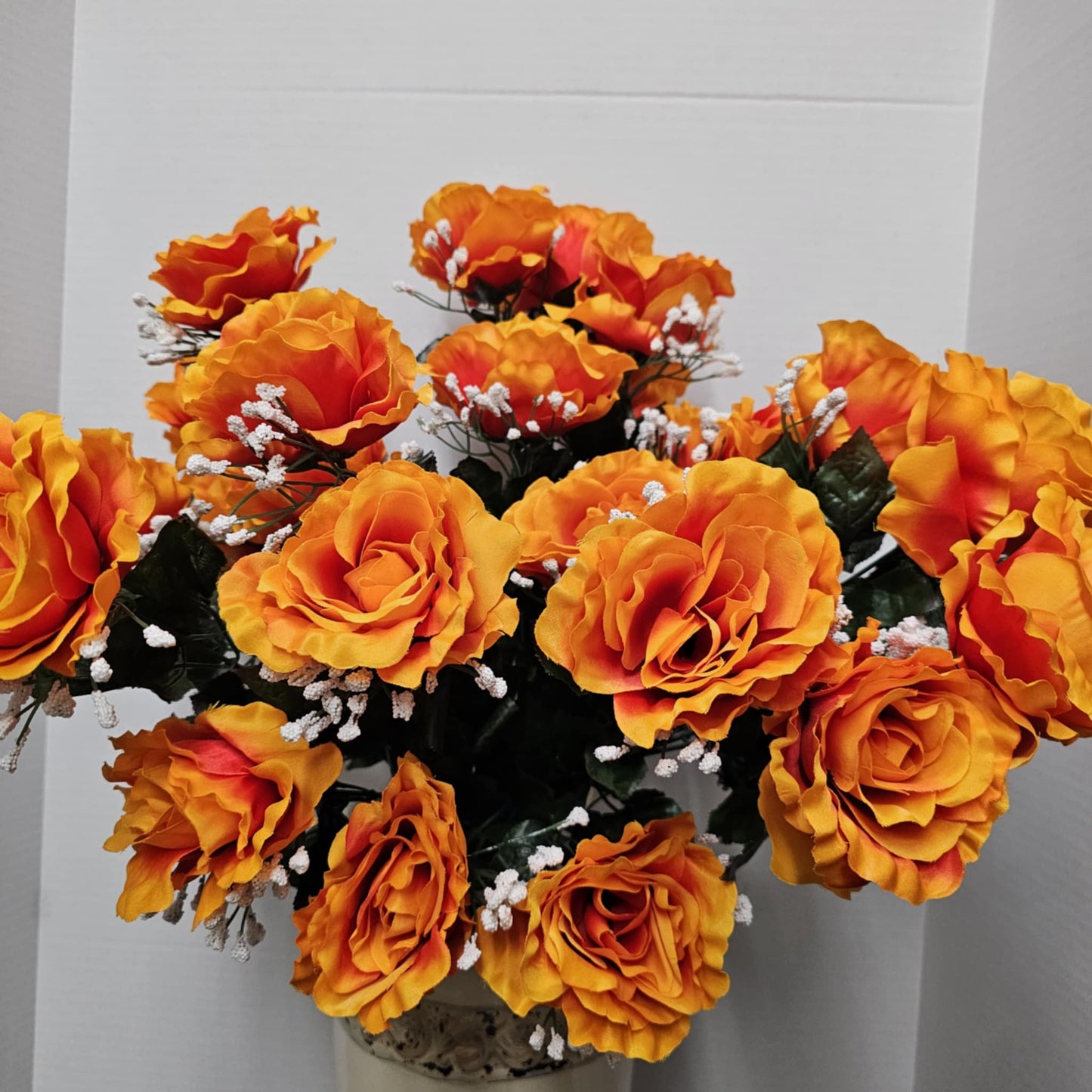 Rose Bush - 45241-ORG