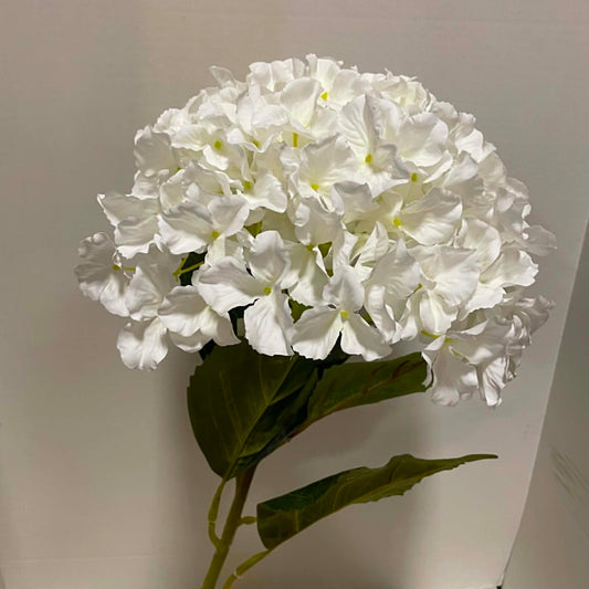 79401-CR - Jumbo Hydrangea