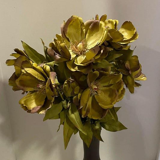 52371-GN - Magnolia Bush