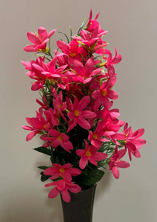 B20921-BTY - Mini Star Flower