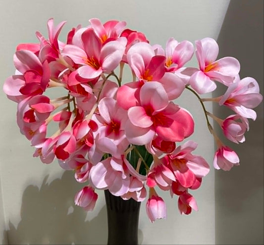 106286-TTPINK - Freesia